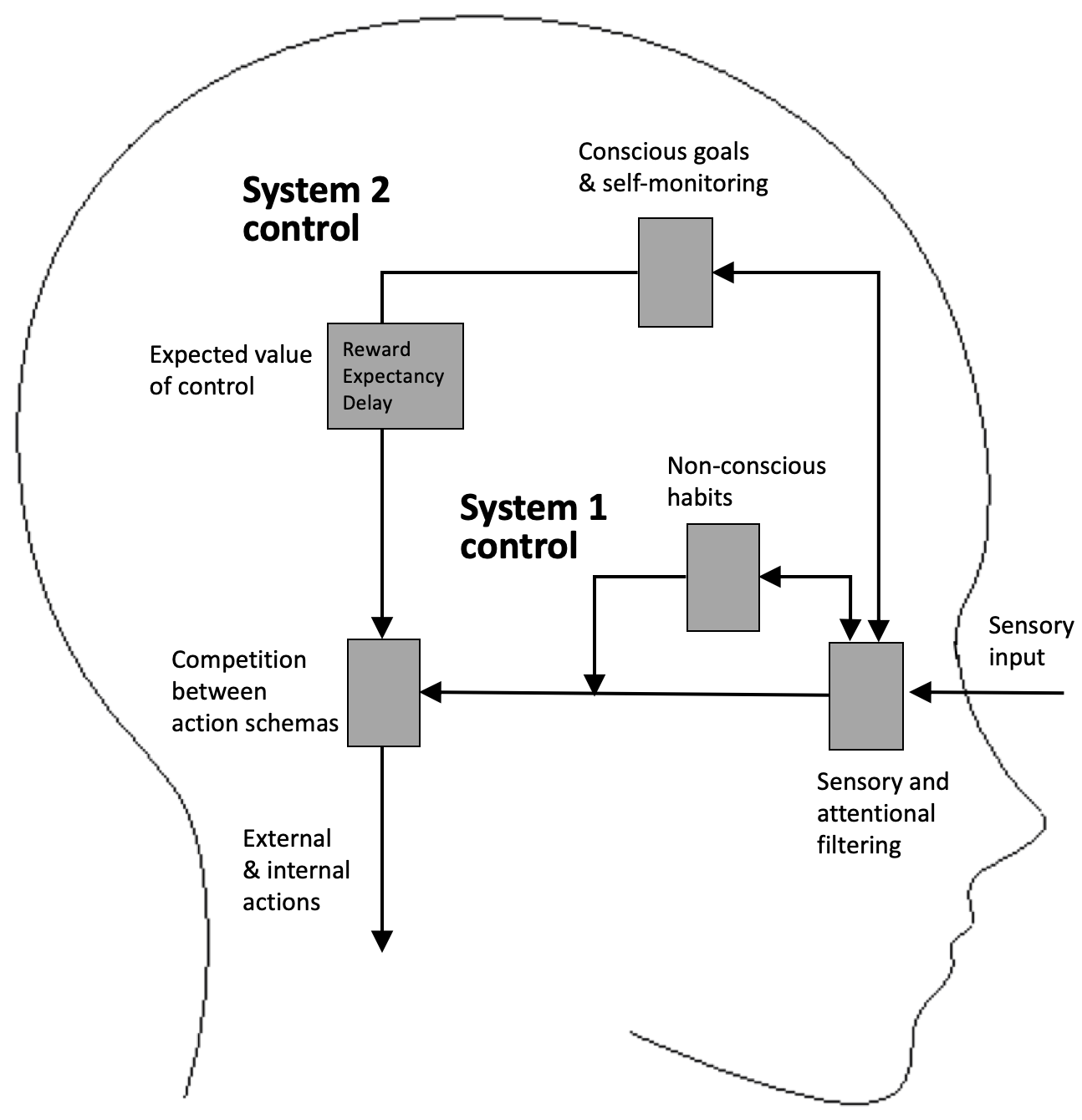 Latest Regulation: Self Regulation Model